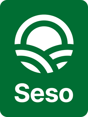 Seso
