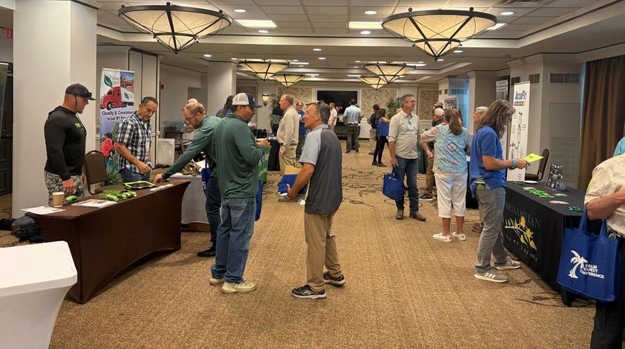 Palm-Quest-Conference-networking
