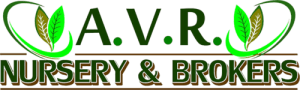 A.V.R. Nursery & Brokers