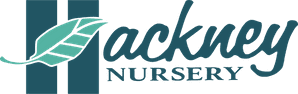 Hackney Nursery