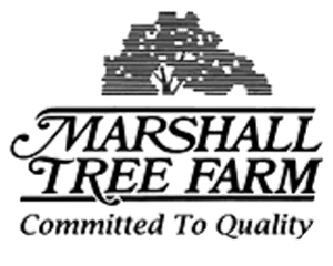 Marshall Tree Farm