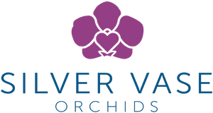 Silver Vase 